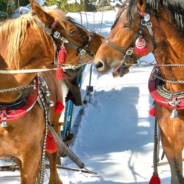 kulig Zakopane